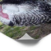 Turkije Poster Print (Hoek)