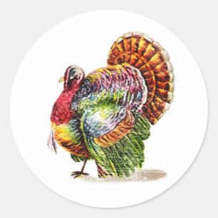 Turkije Ronde Sticker