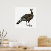 Turkije: Standard Bronze Hen Poster (Keuken)