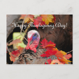 Turkije verlaat Thanksgiving Feestdagenkaart