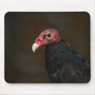 Turkije Vulture Muismat