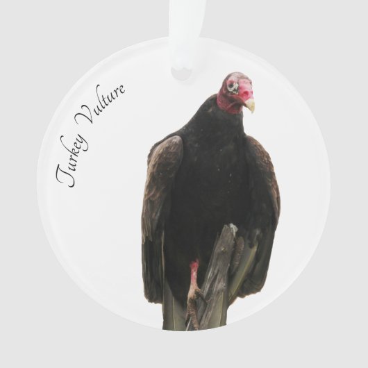 Turkije Vulture Ornament (voorkant)