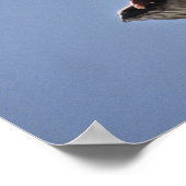 Turkije Vulture Poster (Hoek)