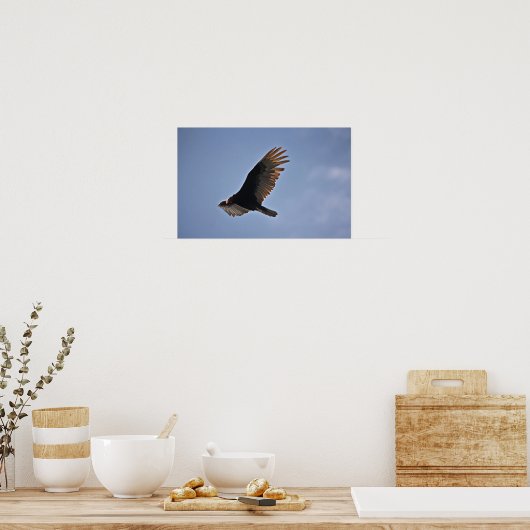 Turkije Vulture Poster (Keuken)