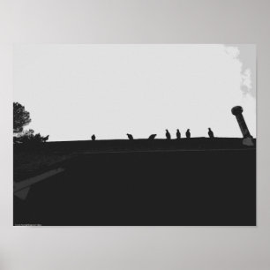 Turkije Vulture, Poster