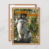 TURKIJE WEER? pelgrimskat Briefkaart (Voorkant / Achterkant)