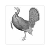 Turkije Wild Bird  Illustratie Rubberstempel (Afrduk)