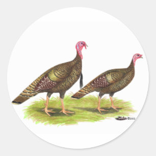 Turkije: Wild Bronze Ronde Sticker