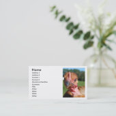 Turkin Pullet Visitekaartje (Staand voorkant)