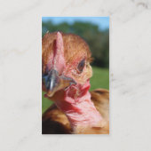 Turkin Pullet Visitekaartje (Achterkant)