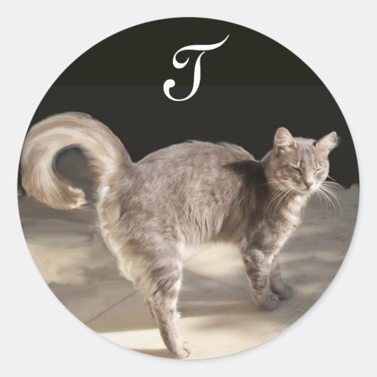 TURKISH CAT-Monogram Ronde Sticker (Voorkant)