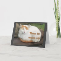 TURKISH VAN DIT **FÉLICITATIONS** À VOTRE CARTE