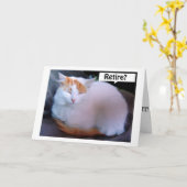 TURKISH VAN ZEGT TIPS OVER HOE JE VAN JE PENSIOEN KAART (Gele Bloem)