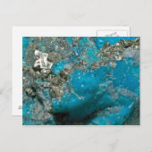 Turkoois Briefkaart (Voorkant / Achterkant)