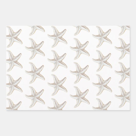 Turkoois Wit Aqua Blauwe Strand Witte Zeester Inpakpapier Vel (Voorkant 3)