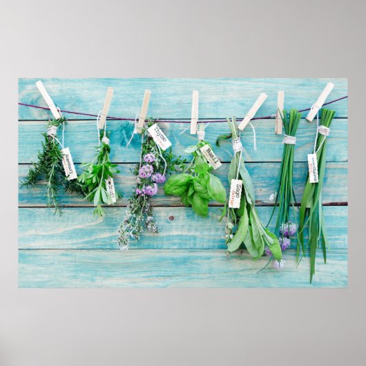  turkooiswand met kruiden poster (Voorkant)