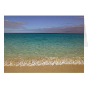 Turks and Caicos, île de Providenciales, Grace 2