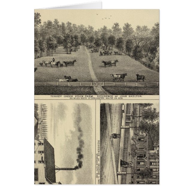 Turks Boerderij, Nebraska (Voorkant)