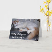 TURKS BUSJE *IK STOND OP* WAAROM HEB JE ME WAKKER KAART (Gele Bloem)