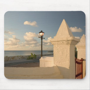 Turks en Caicos, Grand Turk Island, Cockburn Muismat
