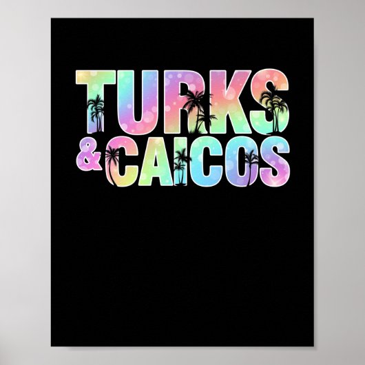 Turks en Caicos Palm Trees Souvenir Poster (Voorkant)