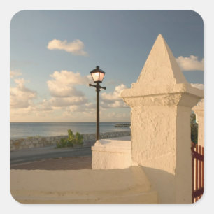 Turks en Caicoseilanden, Grand Turk Island, Cockbu Vierkante Sticker