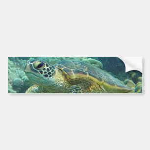 Turks in Hawaï Bumpersticker