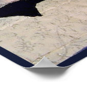 Turks Poster Angora Kittens (Hoek)