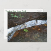 Turks staatspark briefkaart (Voorkant / Achterkant)