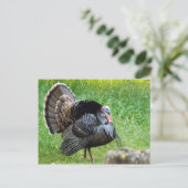 Turks Time Briefkaart (Staand voorkant)