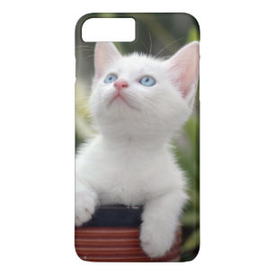 Turks White Kitten iPhone 8 Plus / 7 Plus Hoesje