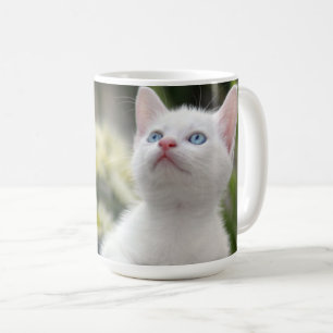 Turks White Kitten Koffiemok