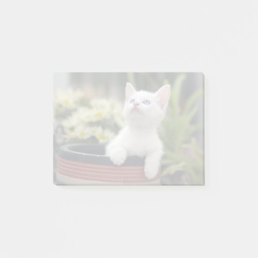 Turks White Kitten Post-it® Notes (Voorkant)