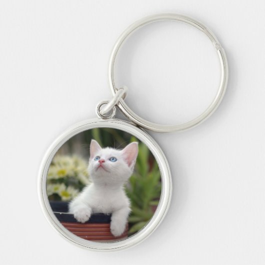 Turks White Kitten Sleutelhanger (Voorkant)
