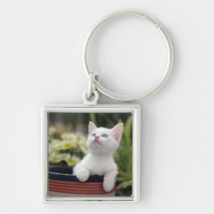 Turks White Kitten Sleutelhanger