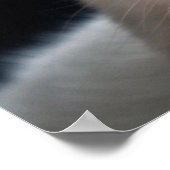 Turkse angorakat met od-ogen poster (Hoek)