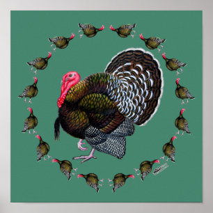 Turkse cirkel poster