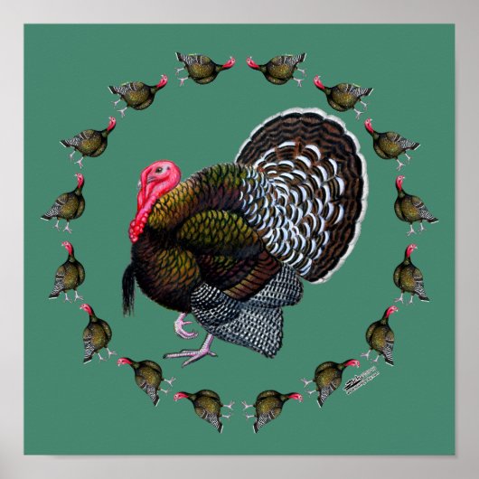 Turkse cirkel poster (Voorkant)