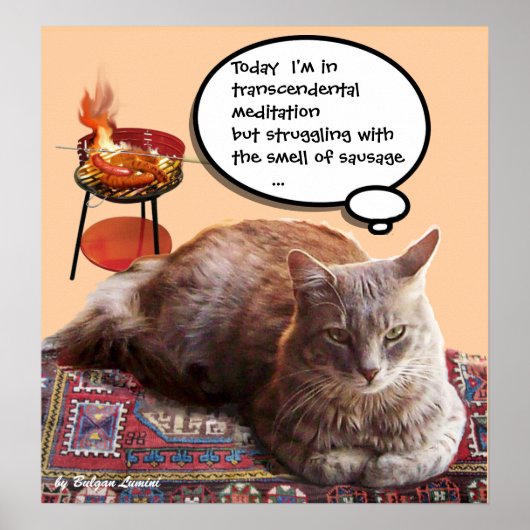 TURKSE KAT IN TRANSCENDENTALE MEDITATIE POSTER (Voorkant)