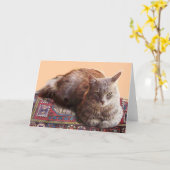 TURKSE KAT OP DE OUDE KAARTEN (Gele Bloem)