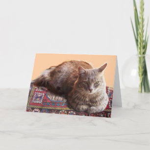 TURKSE KAT OP DE OUDE KAARTEN