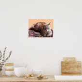 TURKSE KAT OP DE OUDE VLOERBEDDING POSTER (Keuken)