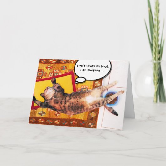 TURKSE KAT OP HET OUDE KARPJE KAART (Voorkant)