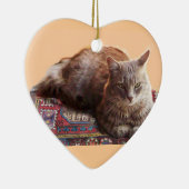 TURKSE KAT OP HET OUDE KARPJE KERAMISCH ORNAMENT (Rechts)