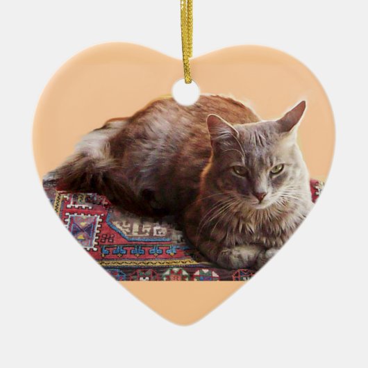 TURKSE KAT OP HET OUDE KARPJE KERAMISCH ORNAMENT (Voorkant)