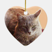 TURKSE KAT OP HET OUDE KARPJE KERAMISCH ORNAMENT (Achterkant)