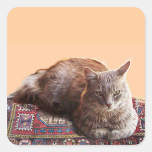TURKSE KAT OP HET OUDE KARPJE VIERKANTE STICKER