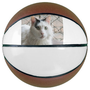 Turkse Van Basketbal