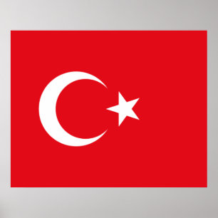 Turkse vlag poster