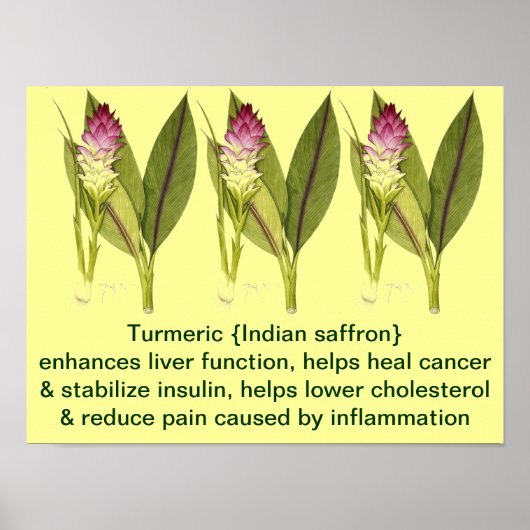 Turmeric Poster (Voorkant)